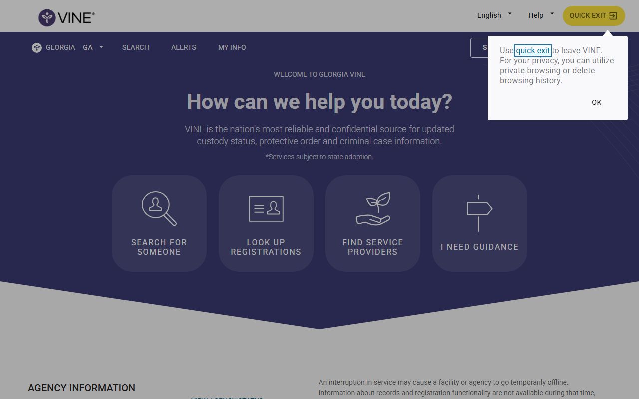 Georgia VINELink custody notification portal